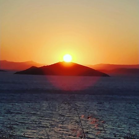 Marmari Megali Ammos Oasis Apartment & Studio Agia Marina  Dış mekan fotoğraf